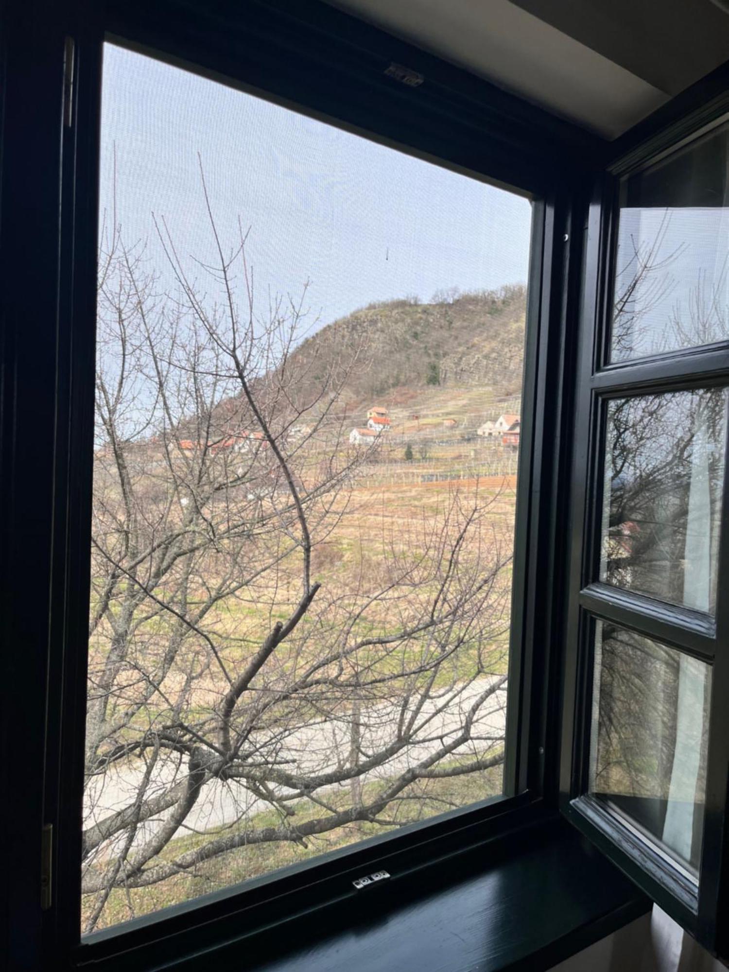 Somlo Wineshop Guesthouse Somlovasarhely Kültér fotó