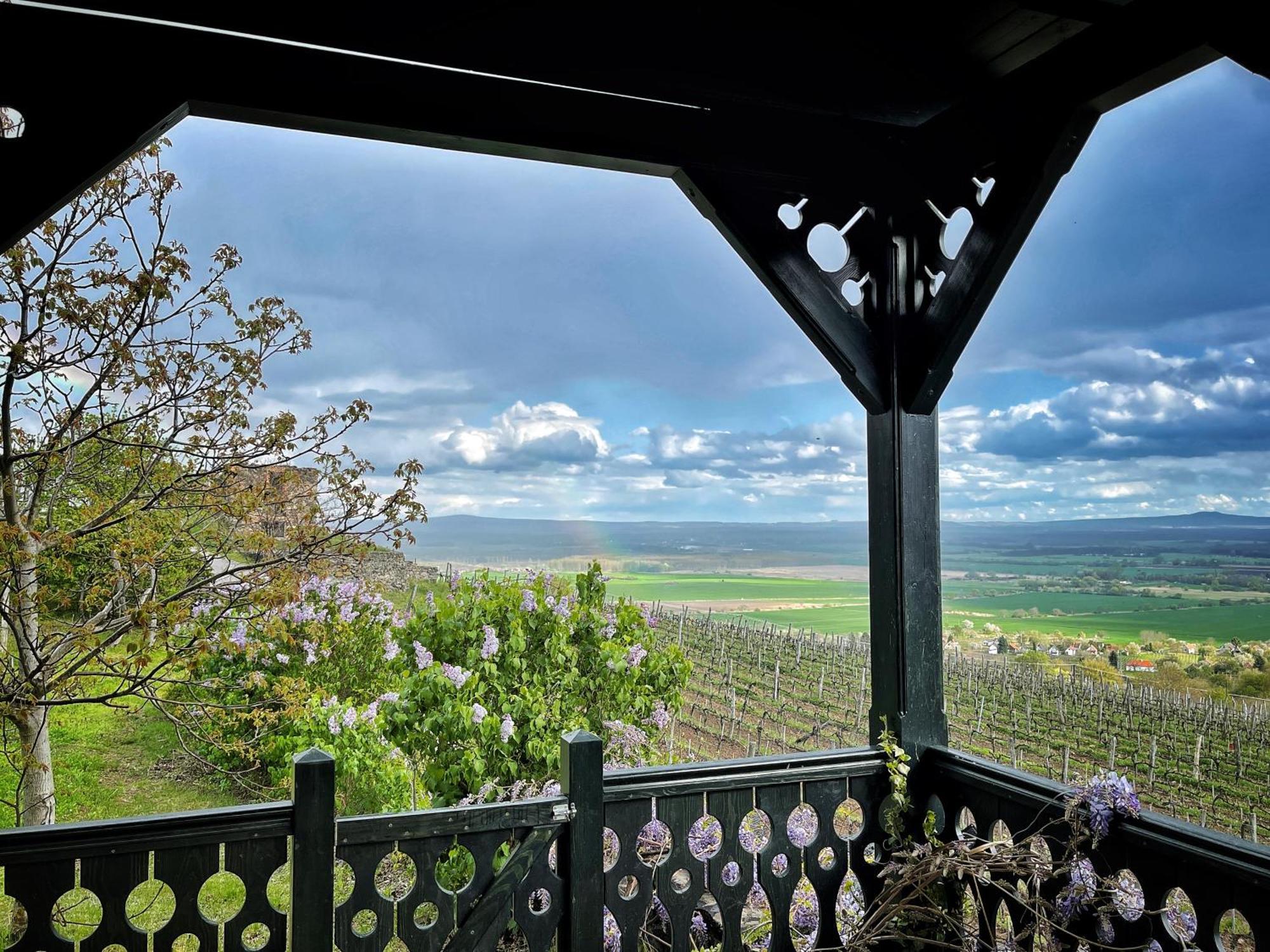 Somlo Wineshop Guesthouse Somlovasarhely Kültér fotó
