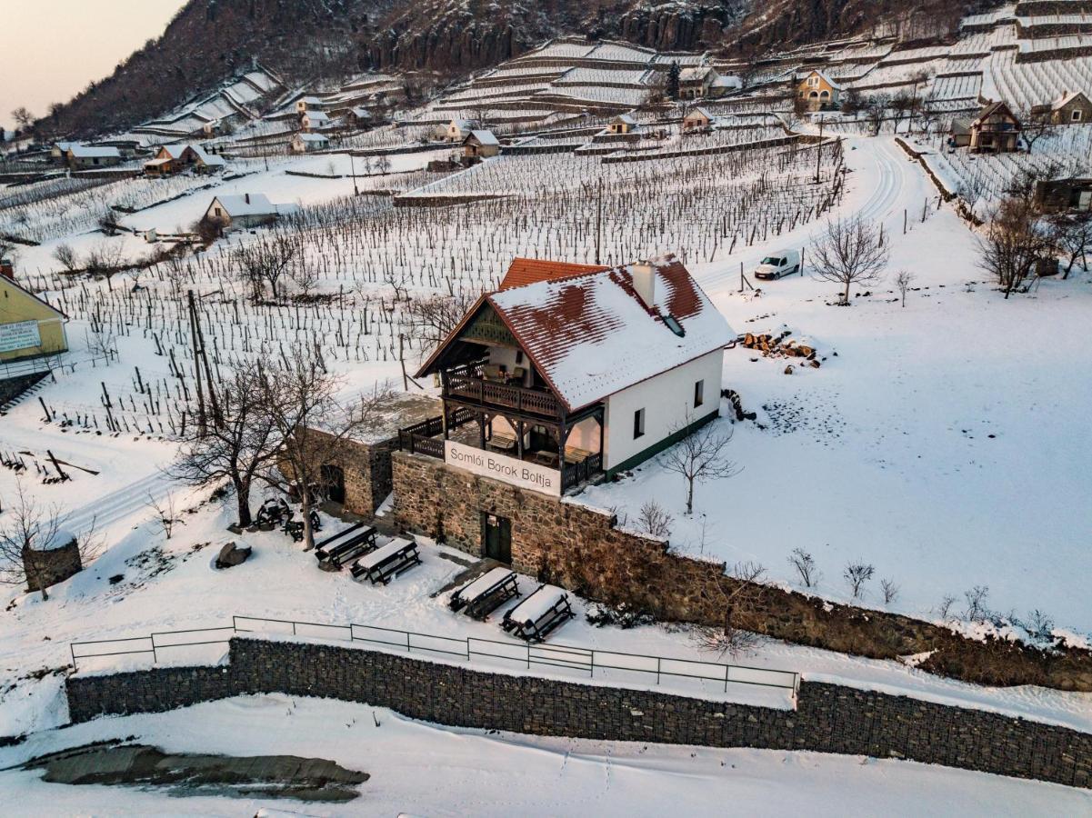 Somlo Wineshop Guesthouse Somlovasarhely Kültér fotó