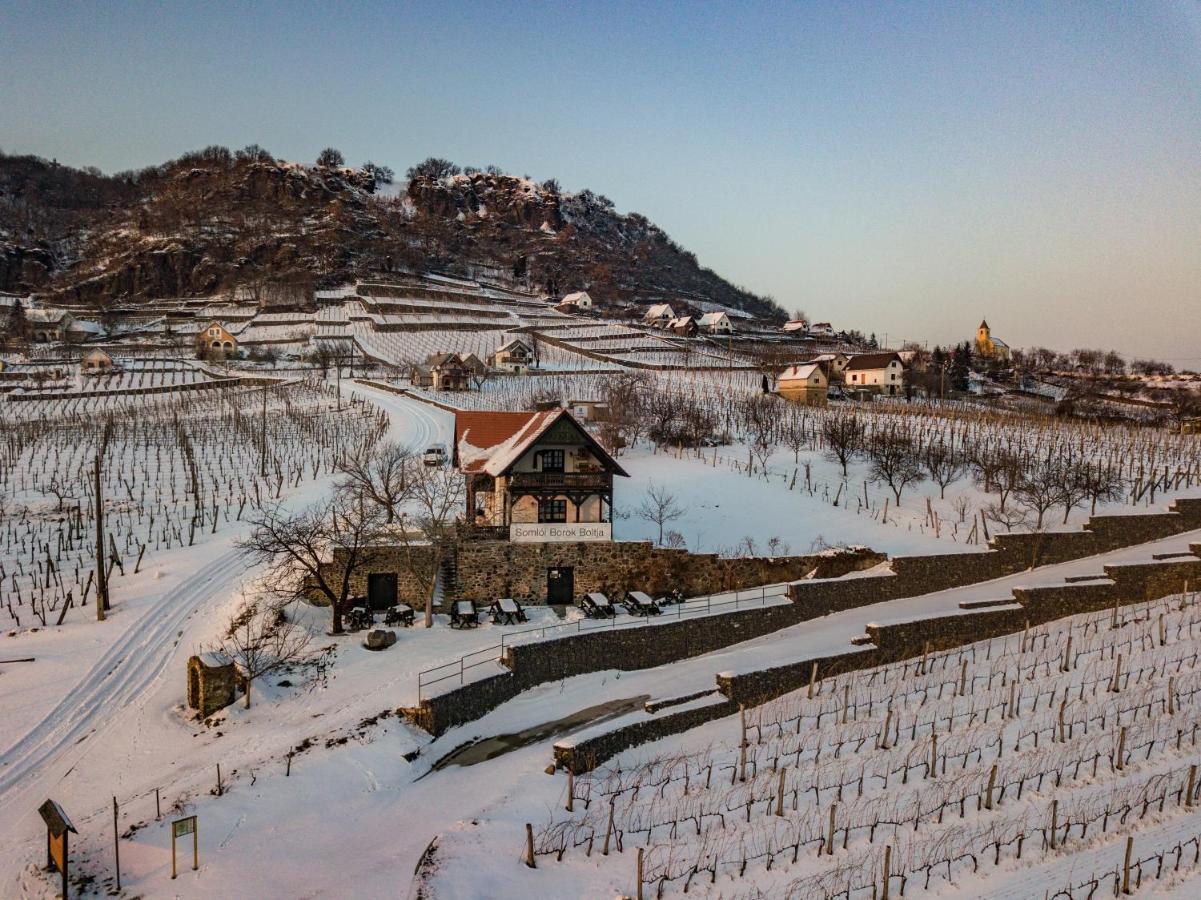 Somlo Wineshop Guesthouse Somlovasarhely Kültér fotó